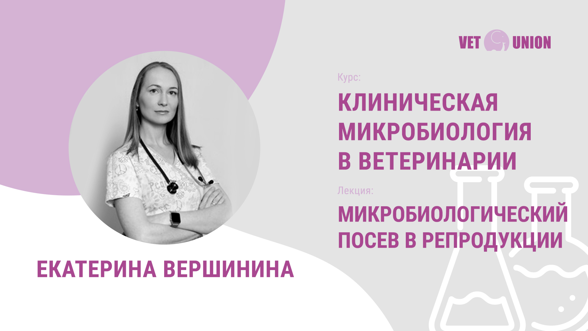 Клиническая микробиология в ветеринарии – онлайн курс для ветеринарных  специалистов – VET UNION